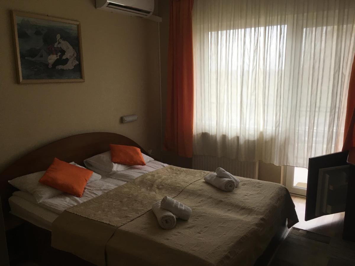 Pensiunea Brigi Satu Mare Exterior foto